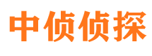 馆陶市调查公司